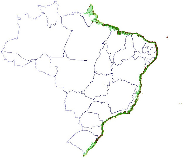 Mapa do Brasil com destaque para os municípios defrontantes com o mar